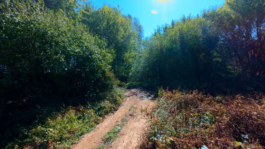 Still 2025-11-17 100017_1.57.11.jpeg